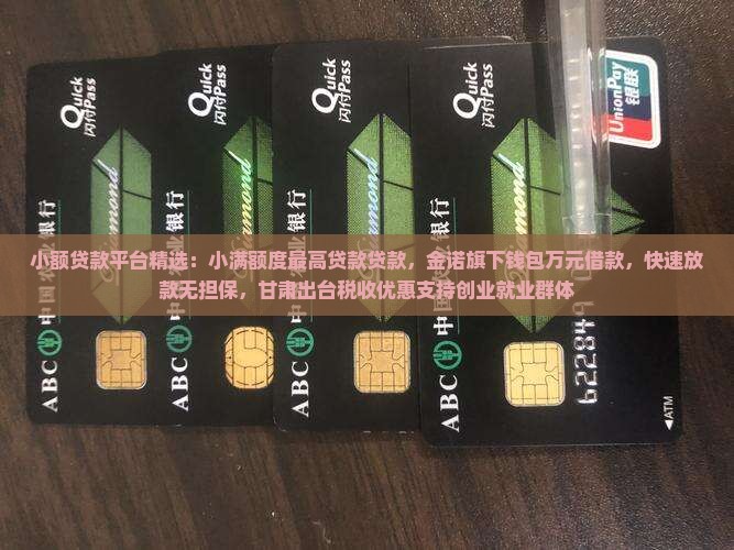 小额贷款贷款