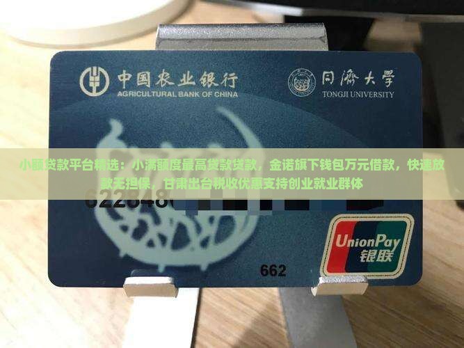 小额贷款贷款