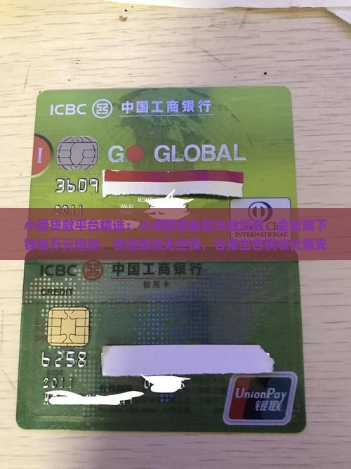 小额贷款贷款