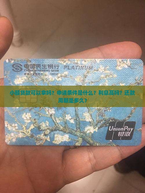小额贷款可以拿吗
