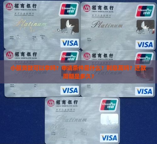 小额贷款可以拿吗