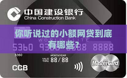 小额网贷包括哪些贷款