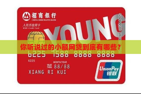 小额网贷包括哪些贷款
