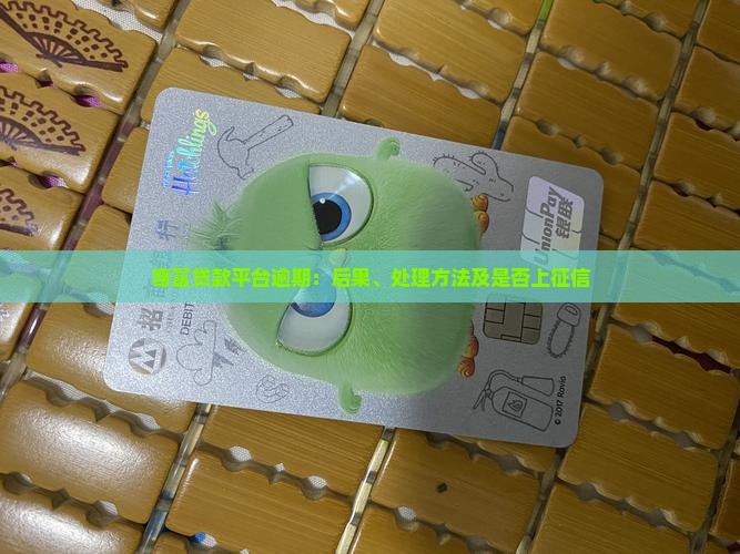 奇富贷款平台逾期