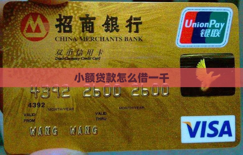 小额贷款借一千怎么借