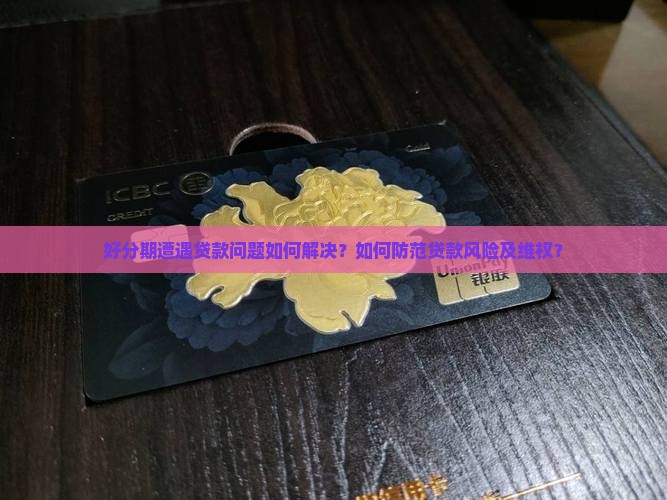 好分期被贷款了怎么办啊