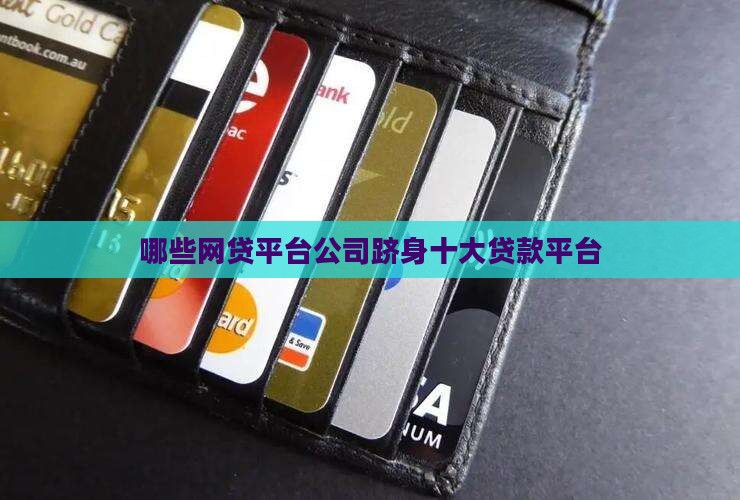 哪些网贷公司好贷款