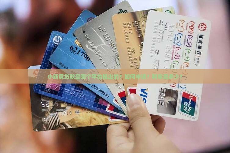 小新意贷款是哪个平台