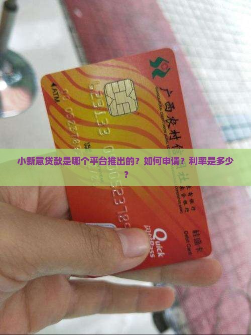 小新意贷款是哪个平台