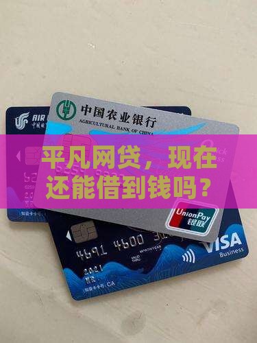 平凡网贷还能贷款吗