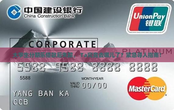 分期乐贷款逃逸