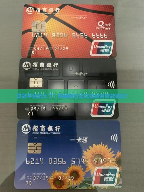 实施重组的贷款平台是