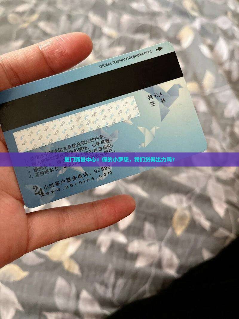 厦门新景中心小额贷款