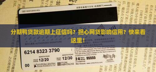分期鸭贷款逾期上征信吗