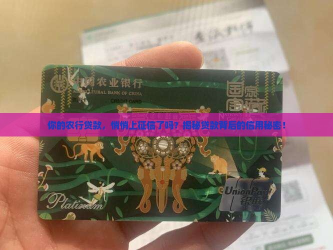 农行贷款上征信