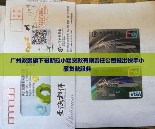 哥斯拉小额贷款