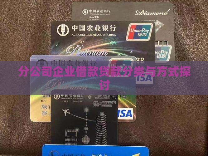 划分公司贷款分类