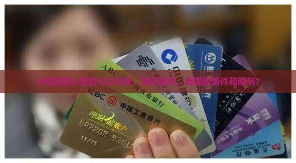 小额贷款人可以变更吗