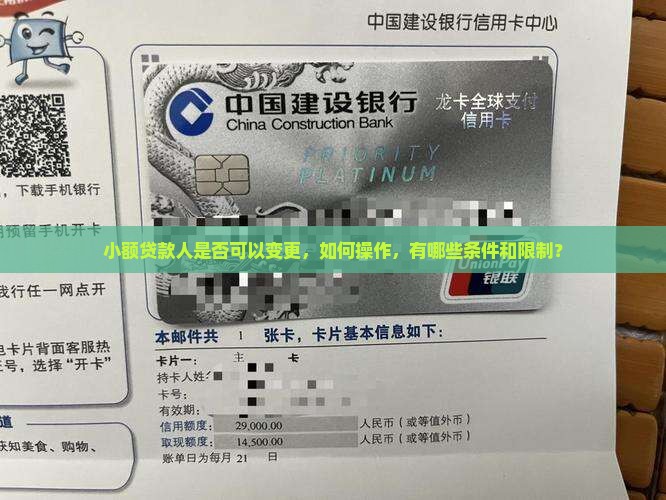 小额贷款人可以变更吗