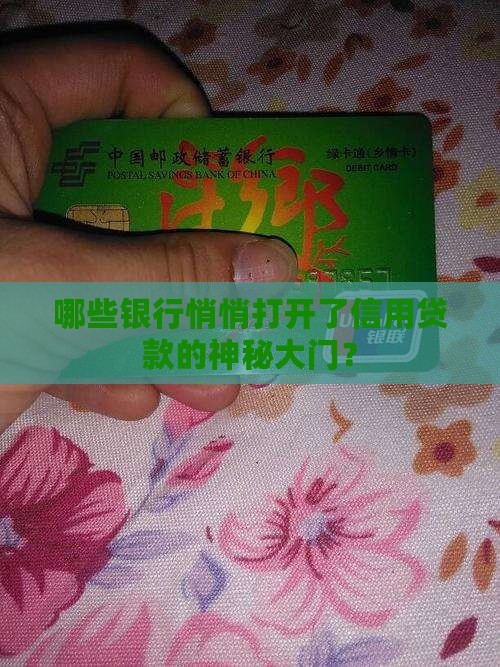 哪些银行可以借信用贷款
