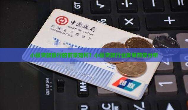 小额贷款银行的前景如何