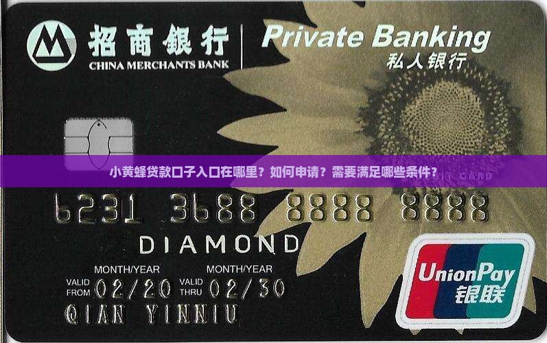 小黄蜂贷款口子入口