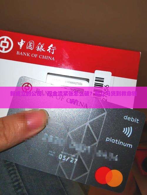 刚开办的公司能贷款吗