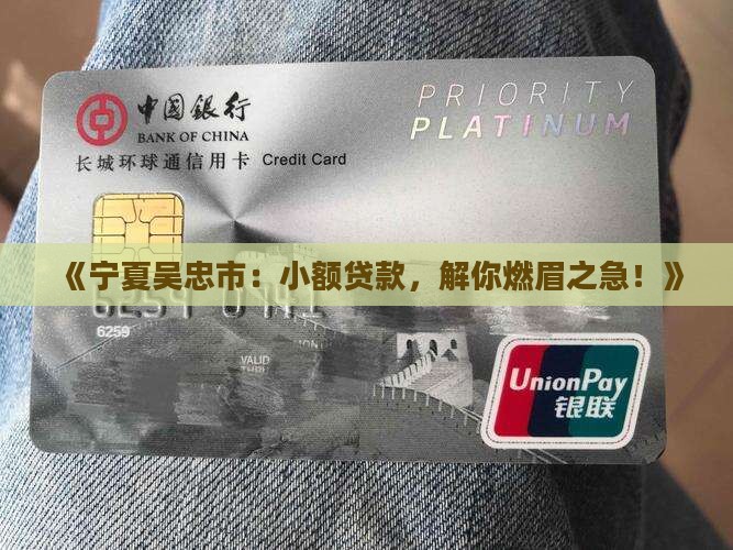 宁夏吴忠市小额贷款