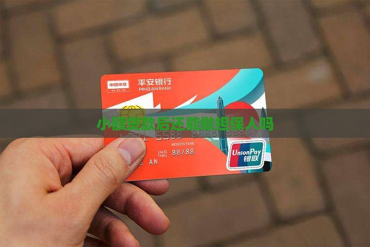 小额贷款后还能做担保吗