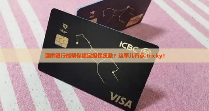 哪些银行接受担保贷款