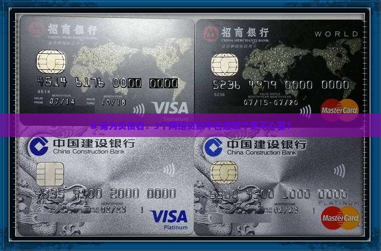 反思网络贷款平台