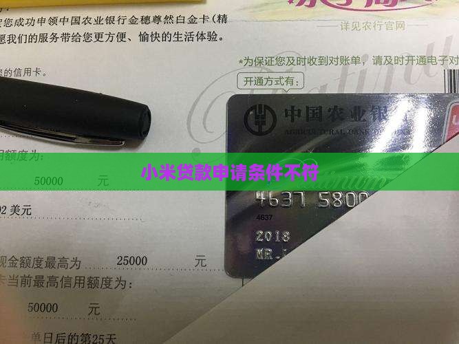 小米贷款不符合