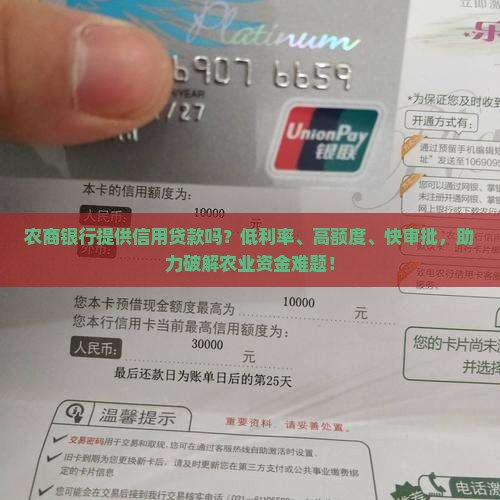 农商银行提供信用贷款吗