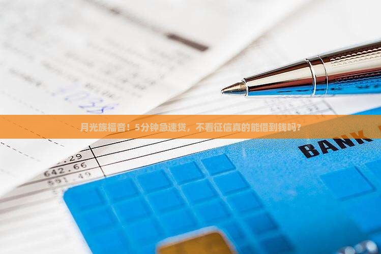 可信度高不看征信的贷款