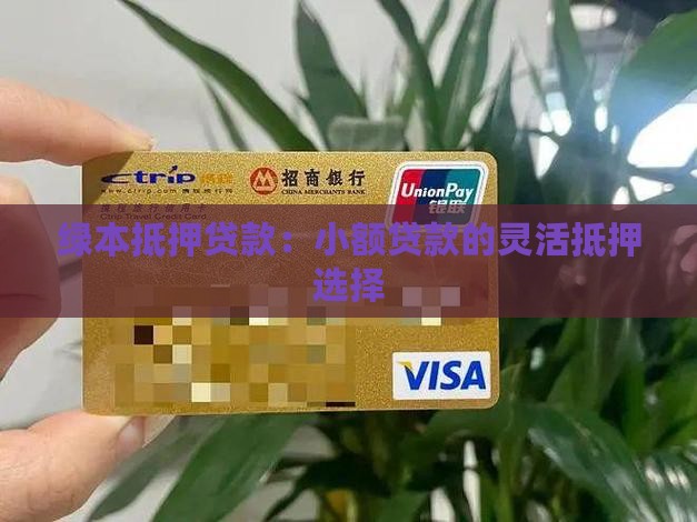 小额贷款绿本抵押