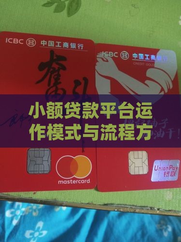 小额贷款平台运作