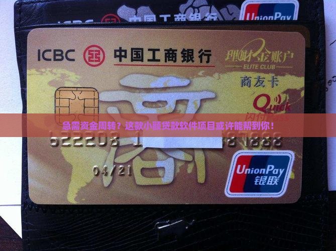 小额贷款软件项目