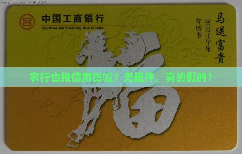 农行有没有信用贷款