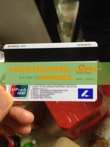 小额信用贷款机构有哪些 小额信用贷款机构有哪些