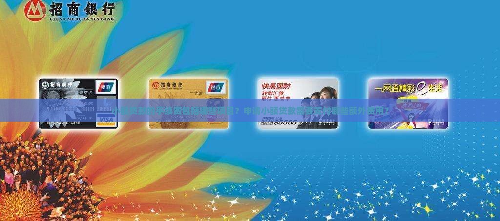 小额贷款有什么手续费 小额贷款有什么手续费