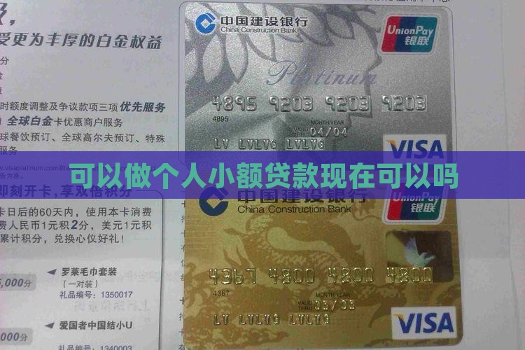 可以做小额贷款吗现在