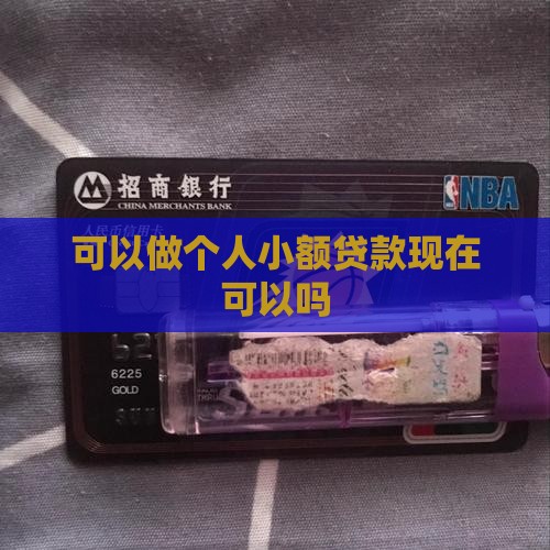 可以做小额贷款吗现在