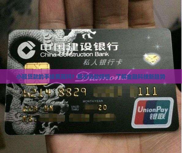 小额贷款的手续费 小额贷款的手续费