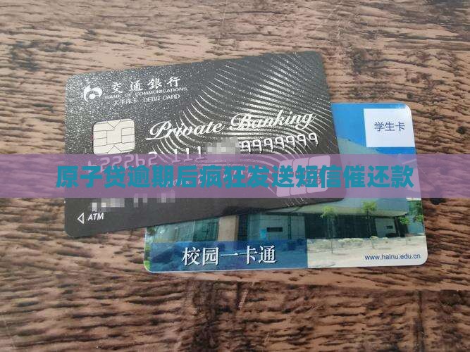 原子贷贷款给我发信息
