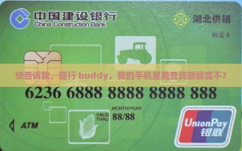 建行手机查贷款额度电话 建行手机查贷款额度电话