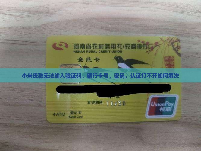 小米贷款无法输入