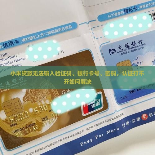 小米贷款无法输入