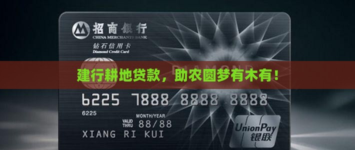 建设银行耕地贷款