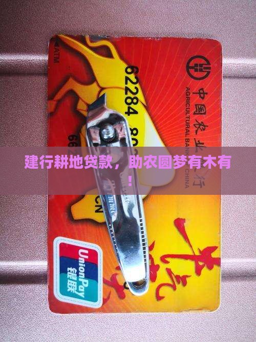 建设银行耕地贷款