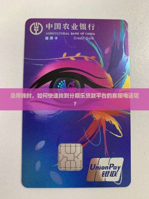 分期乐贷款平台客服电话